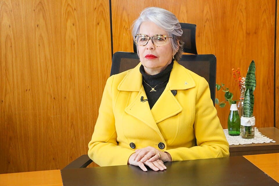 Foto de Hélvia Paranaguá